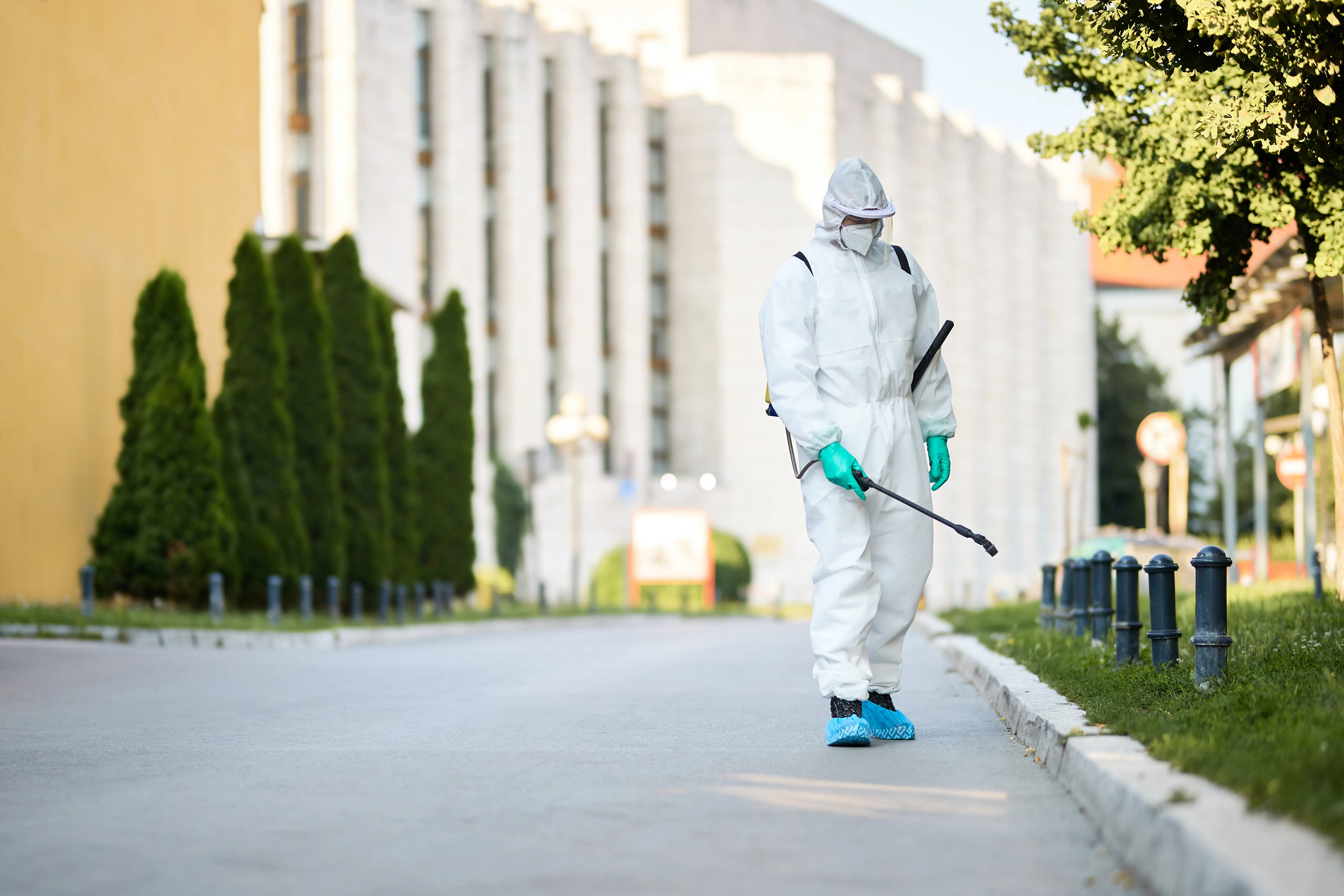 Pest Control