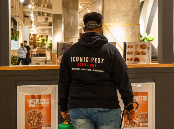 Commercial Pest Control